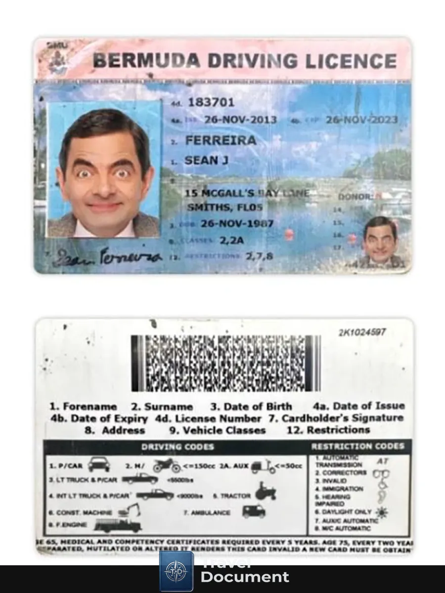 Bermuda Driving License — Driver License