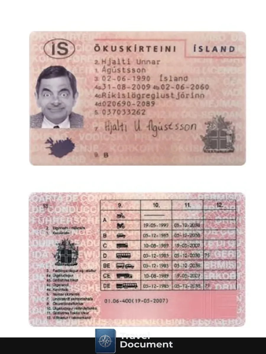 Iceland Driving License — Driver License