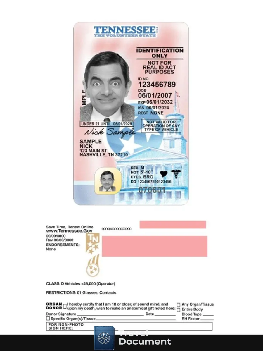 Usa Tennessee Under 21 Driving License 2024 Present — Driver License