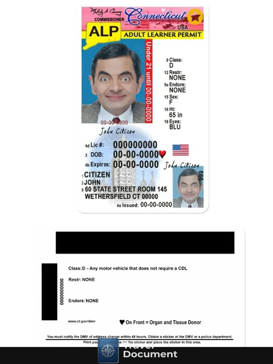 Usa Connecticut Driving License Under 21 — Driver License