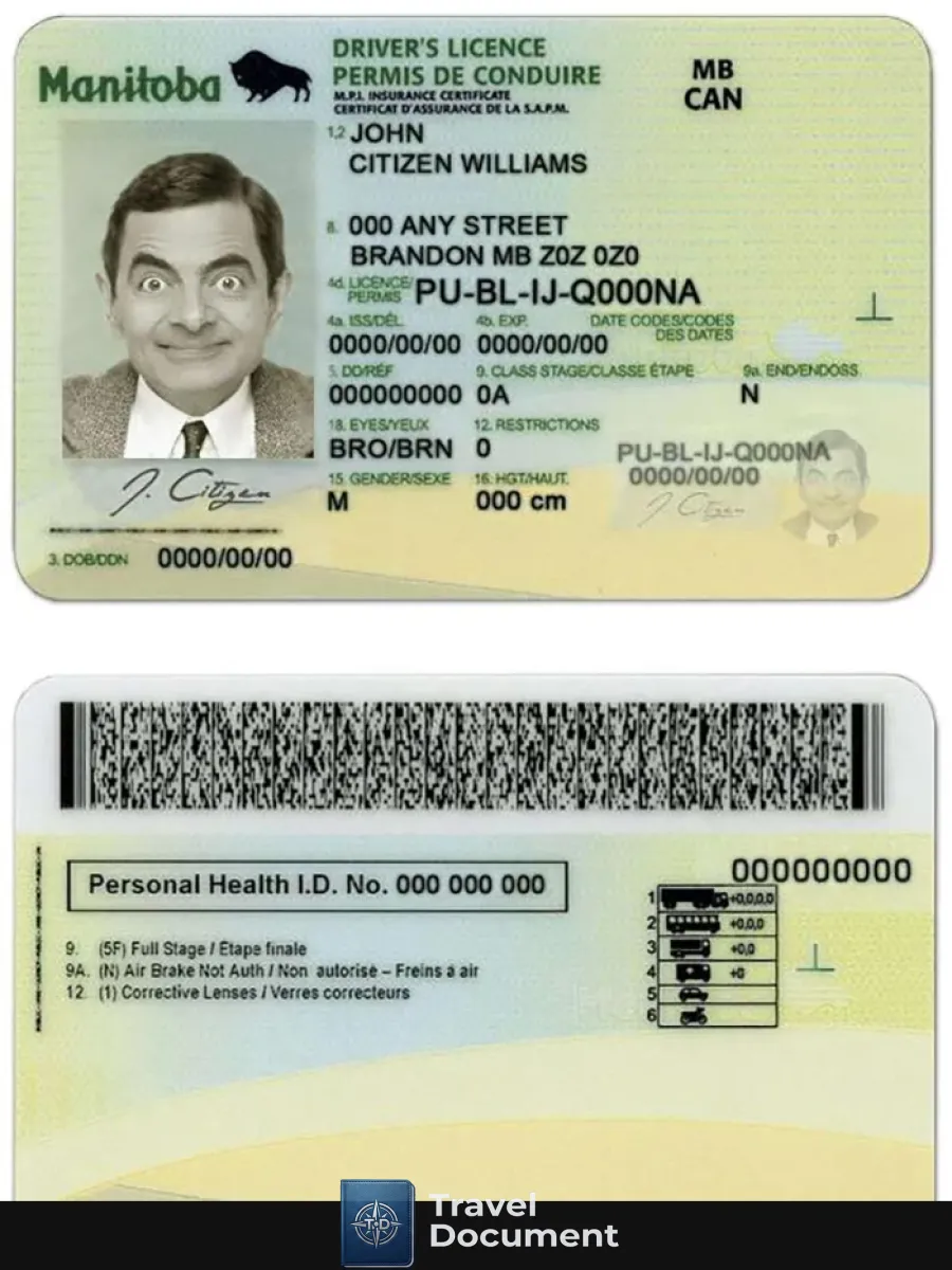 Canada Manitoba Province Driving License — Driver License