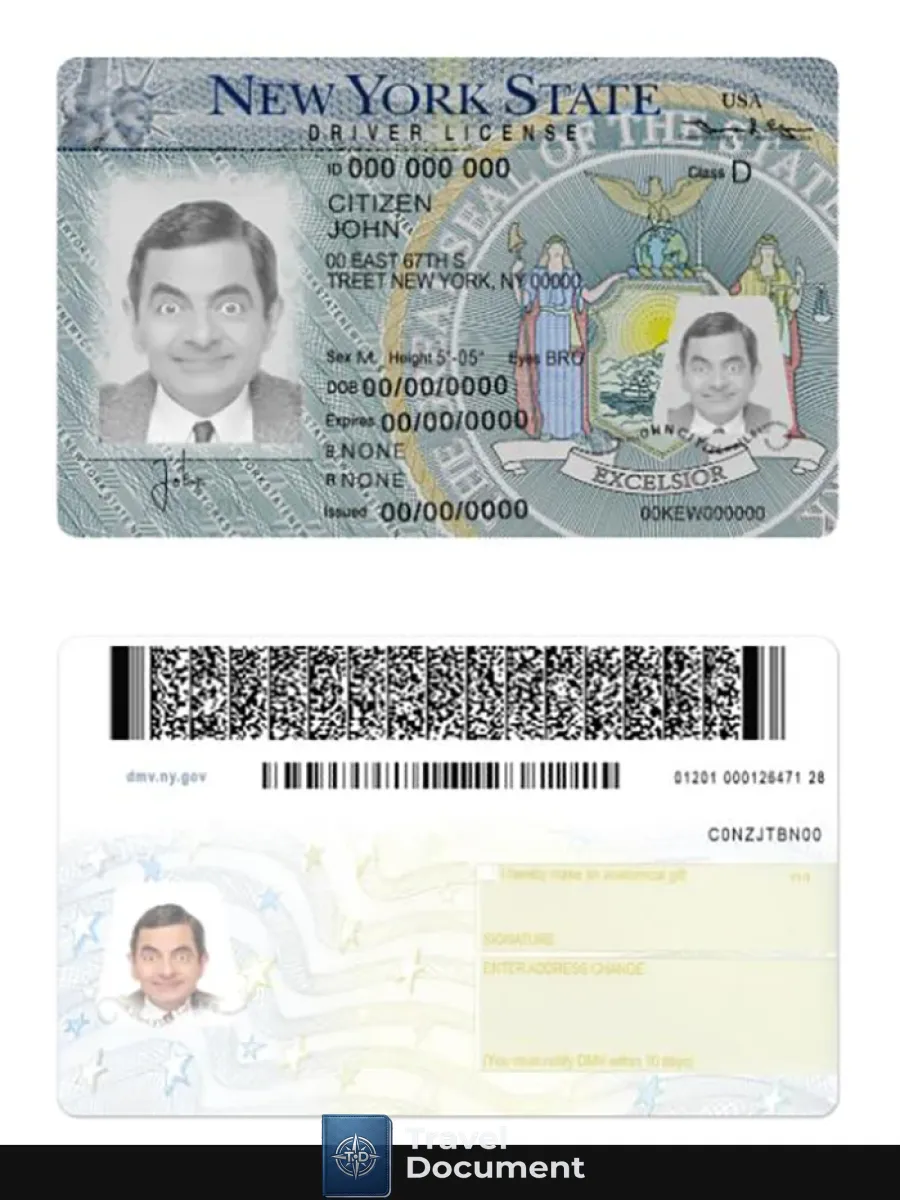 New York Driving License Version 2 — Driver License
