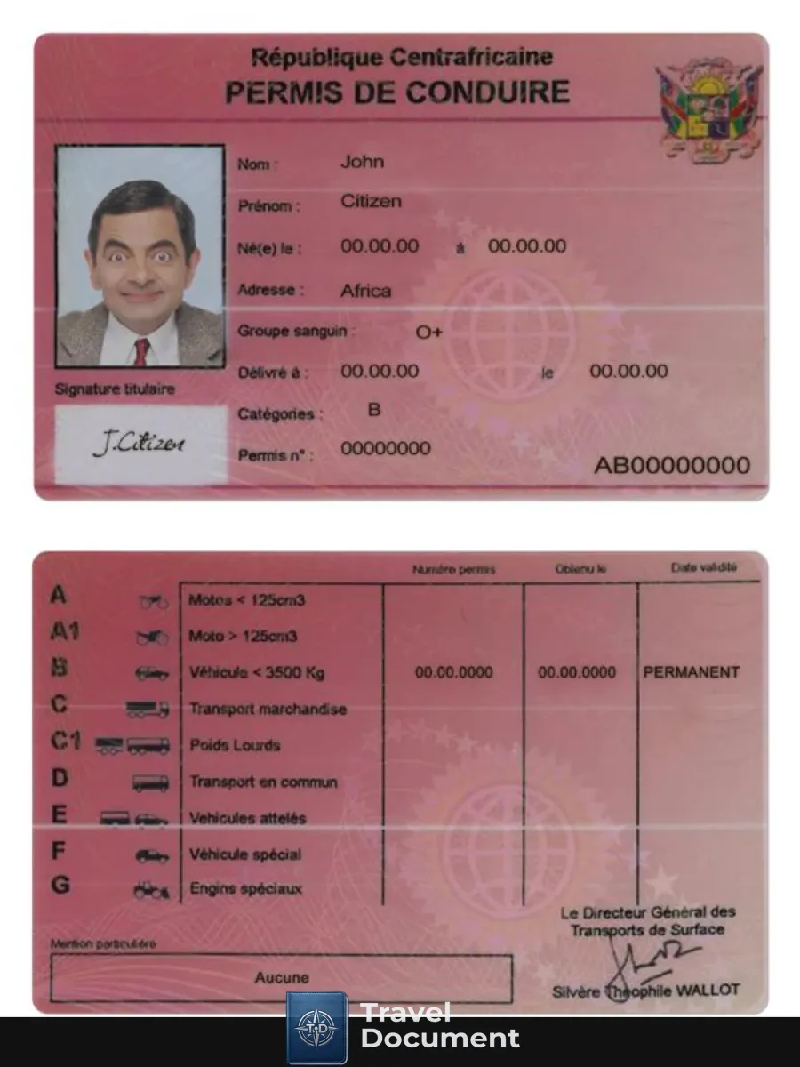 Central African Driving License — Driver License