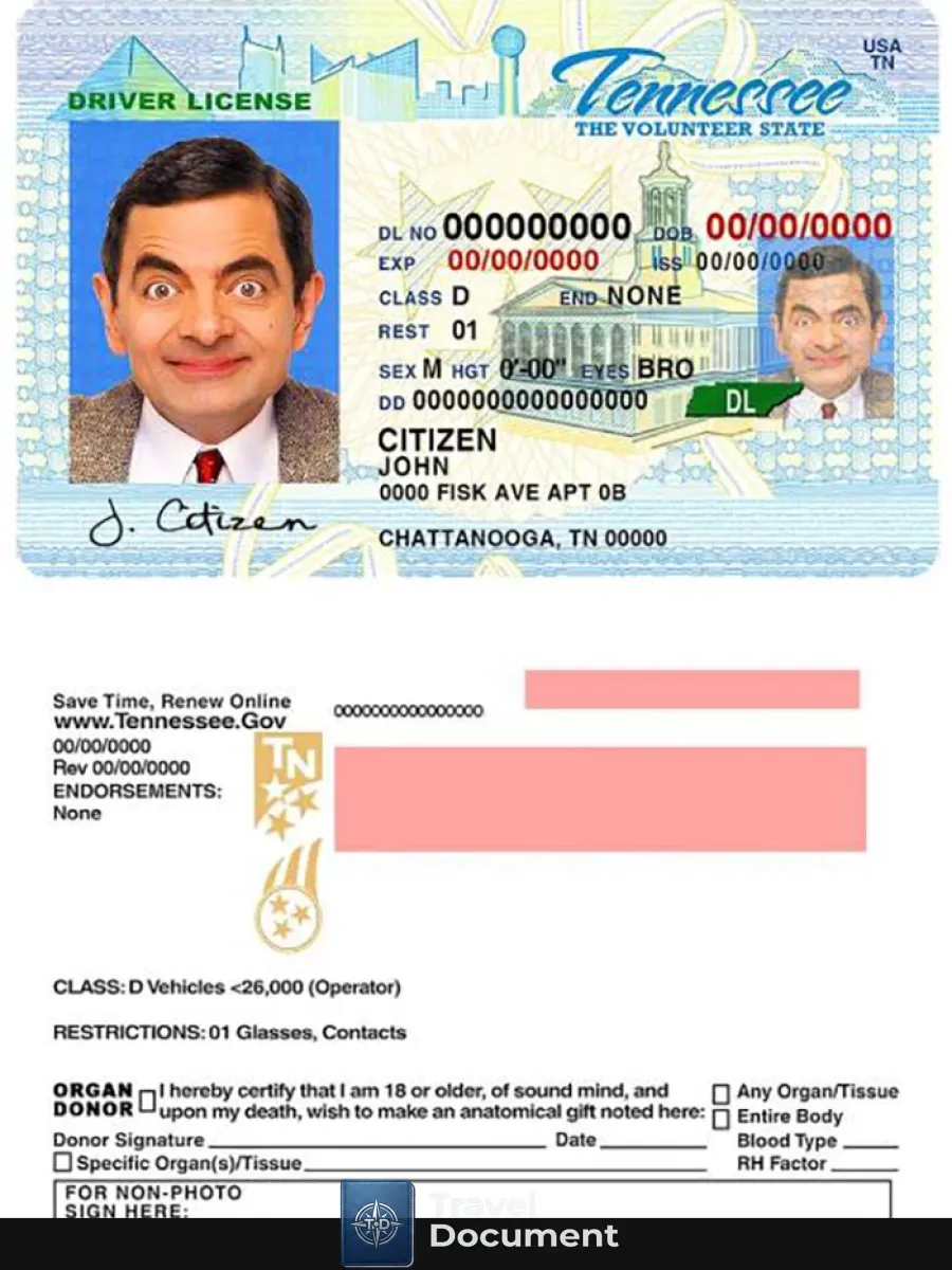 Usa Tennessee Driving License — Driver License